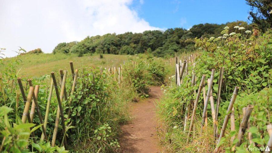 Chiang Mai: Doi Inthanon Park Day Trip with Kiw Mae Pan Hike - Why Kew Mae Pan makes this Doi Inthanon trip different