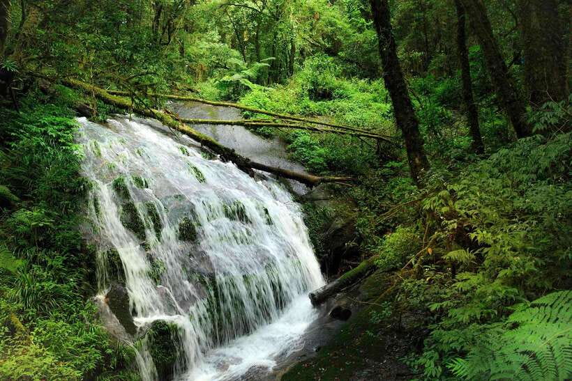 Chiang Mai: Doi Inthanon Park Tour & Kew Mae Pan Trail Hike - The Hmong market and the Karen community