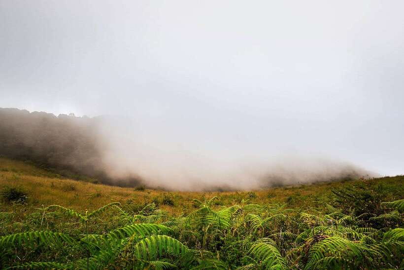 Chiang Mai: Doi Inthanon Park Tour & Kew Mae Pan Trail Hike - Lunch, group size, and what the price covers
