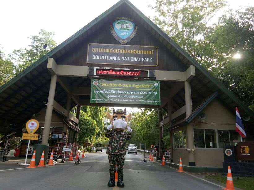 Chiang Mai: Doi Inthanon Park Tour & Kew Mae Pan Trail Hike - How the day feels in practice
