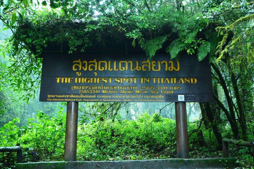 Chiang Mai: Doi Inthanon Park Tour & Kew Mae Pan Trail Hike - The early pickup from Chiang Mai