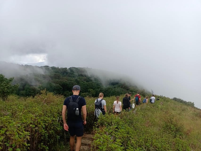 Chiang Mai: Doi Inthanon Park with Kew Mae Pan Hike Day Trip - Coffee, Hmong culture, and the hill market