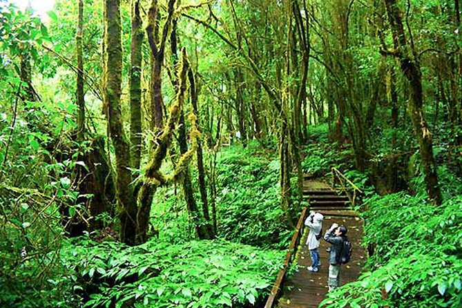 CHIANG MAI: Doi Inthanon-Trekking Keiw Mae Pan-Waterfall-Lunch - Hmong and Karen communities along the route