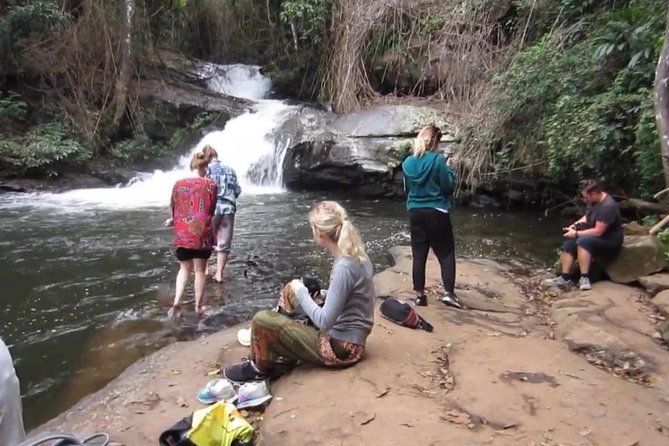 CHIANG MAI: Doi Inthanon-Trekking Pha Dok Seaw-Waterfall-Lunch - Lunch: useful, included, and fairly basic