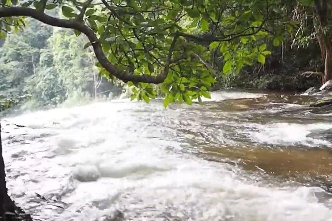 CHIANG MAI: Doi Inthanon-Trekking Pha Dok Seaw-Waterfall-Lunch - The Twin Pagodas and the extra admission fee