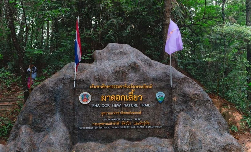 Chiang Mai: Doi Inthanon Trip with Pha Dok Siew Guided Trek - Why Doi Inthanon makes a good day trip from Chiang Mai