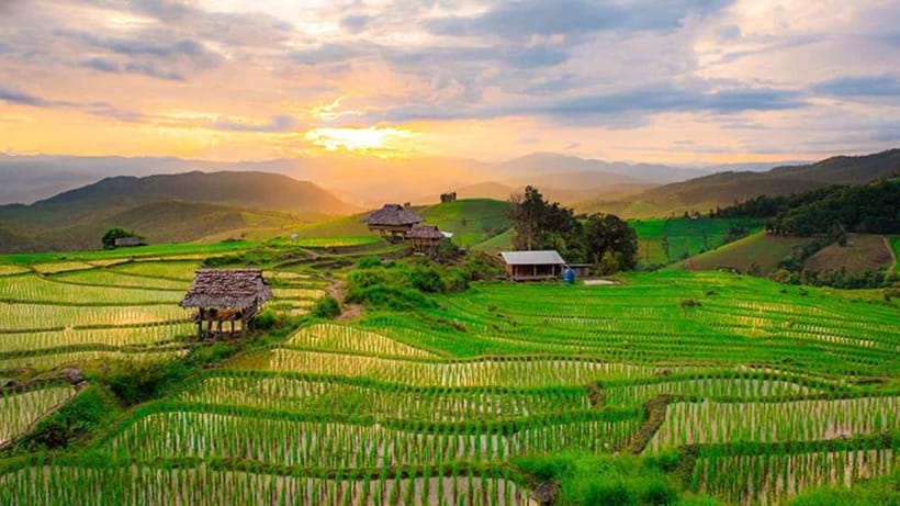 Chiang Mai: Doi Inthanon Trip with Pha Dok Siew Guided Trek - The King and Queen Pagodas
