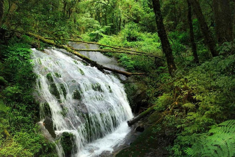 Chiang Mai: Doi Inthanon Trip with Pha Dok Siew Guided Trek - How the day feels as a complete itinerary