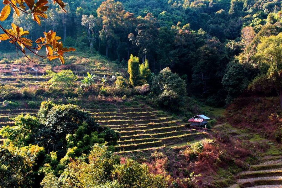 Chiang Mai: Doi Inthanon, Waterfalls, & Tribal Villages Tour - Who should choose this mountain day trip?