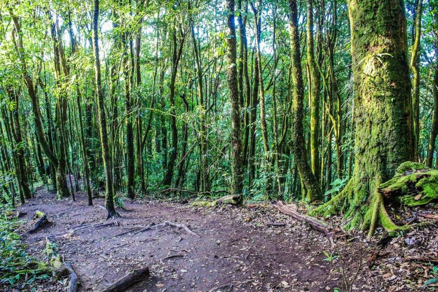 Chiang Mai: Doi Inthanon, Waterfalls, & Tribal Villages Tour - Is $36 good value for a 10-hour day?