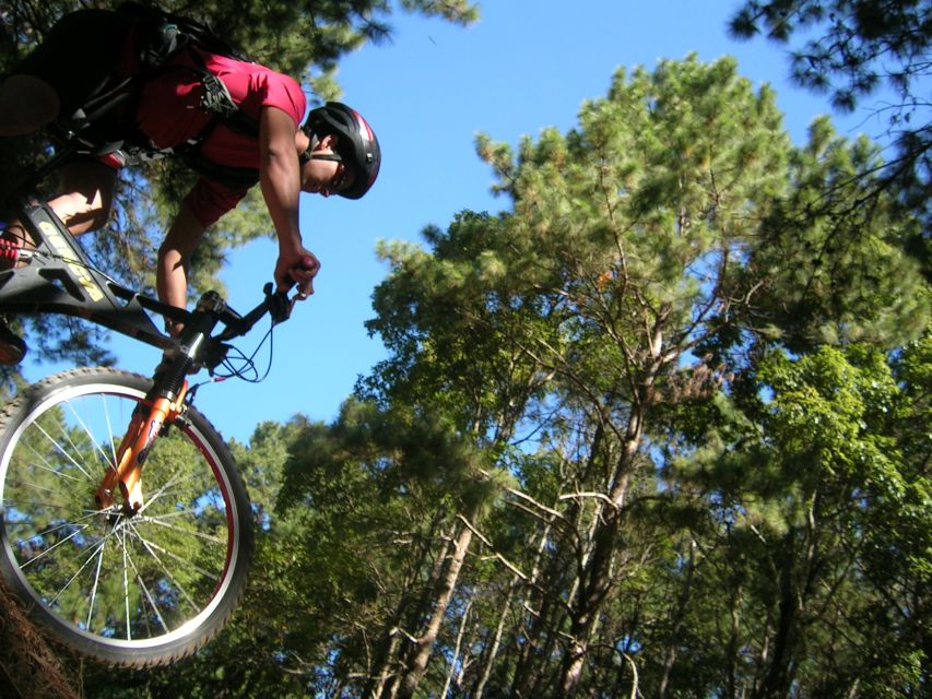 Chiang Mai: Doi Suthep National Park Leisure Hiking & Biking - The downhill ride and the road reality