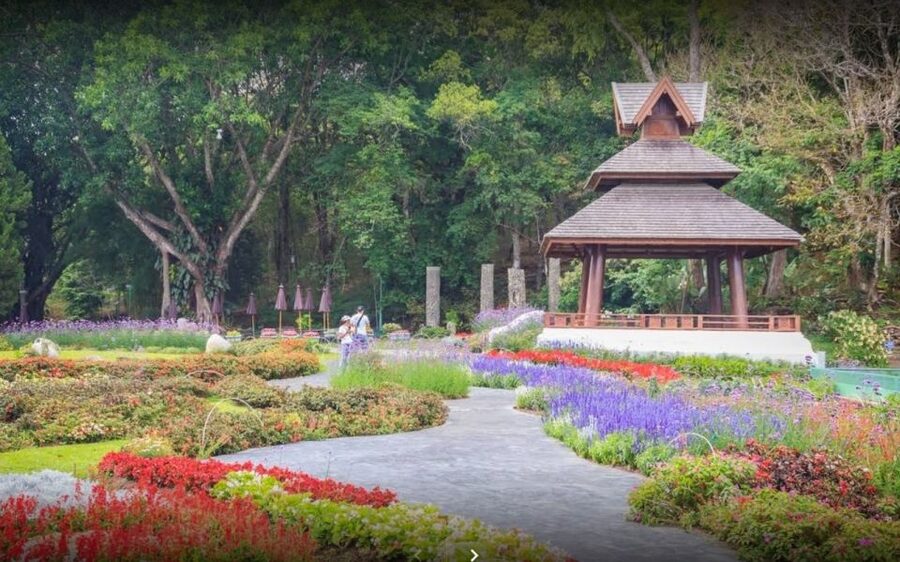 Chiang Mai: Doi Suthep National Park Leisure Hiking & Biking - Equipment, fitness, and what to bring
