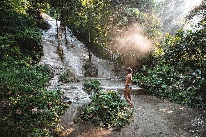 Chiang Mai Doi Suthep Temple and Sticky Waterfall Tour (Private & All-Inclusive) - Key points at a glance