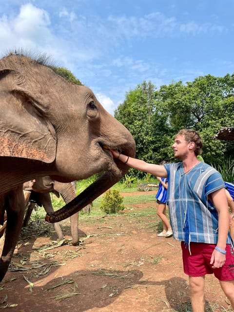Chiang Mai: Elephant Dream Project Sanctuary - Half-Day - Meeting the elephants at 9:30 AM