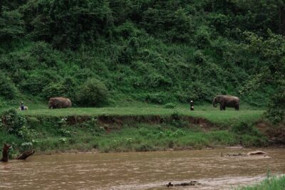 Chiang Mai Elephant Sanctuary, Bamboo Rafting and Waterfall Tour