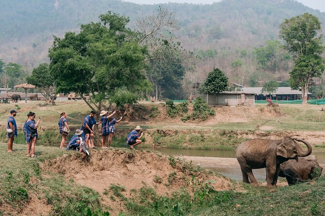 Chiang Mai Elephant Sanctuary, Bamboo Rafting and Waterfall Tour - Who will enjoy this tour most