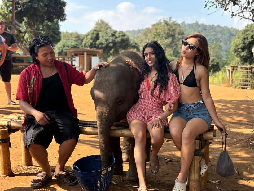 Chiang Mai: Elephant Sanctuary Feeding Program Half-Day Tour - Key points to know before you book