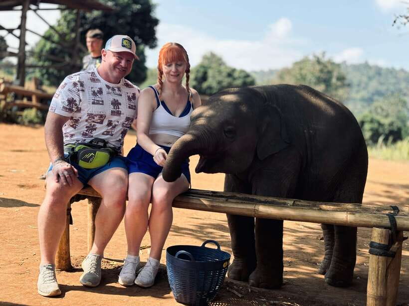 Chiang Mai: Elephant Sanctuary Feeding Program Half-Day Tour - Preparing food for elephants