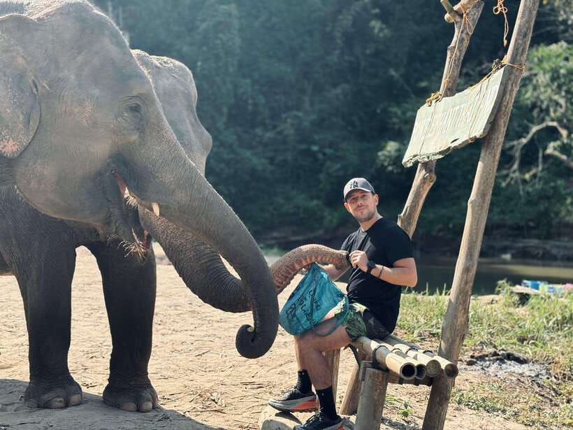 Chiang Mai: Elephant Sanctuary Feeding Program Half-Day Tour - How ethical is the elephant contact?