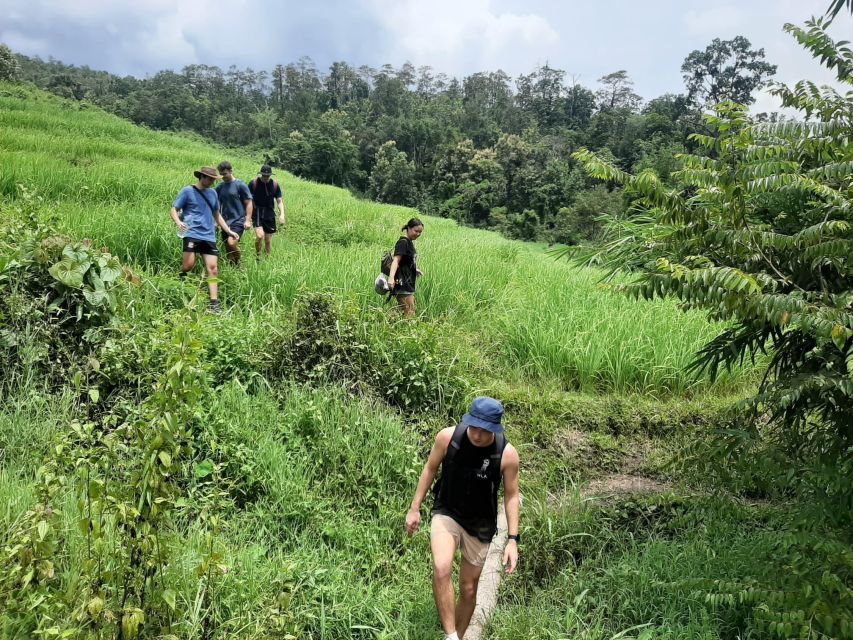 Chiang Mai: Elephant Sanctuary & Jungle Trek w/ Waterfall - A full day south of Chiang Mai