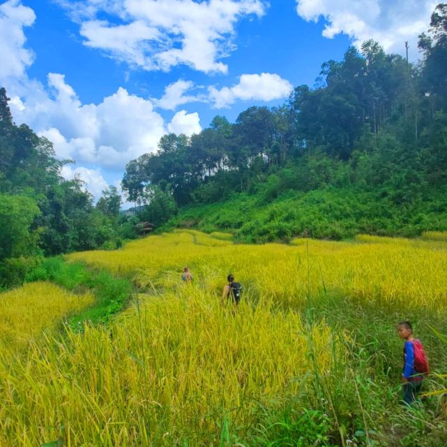 Chiang Mai: Elephant Sanctuary & Jungle Trek w/ Waterfall - Bamboo rafting on the Mae Wang River