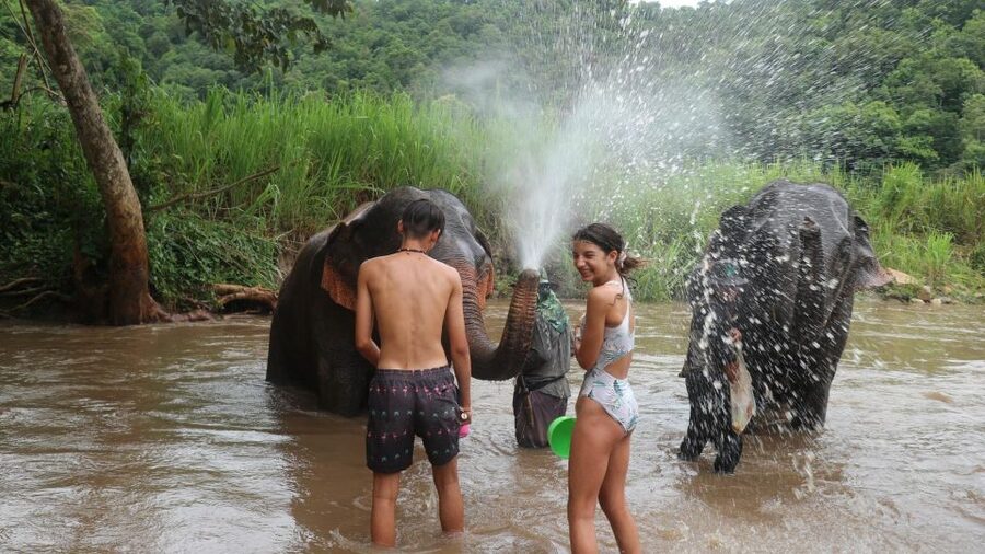 Chiang Mai: Elephant Sanctuary & Jungle Trek w/ Waterfall - Lunch in a Shan village