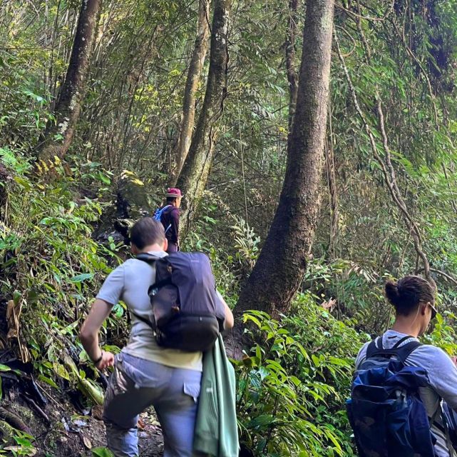 Chiang Mai: Elephant Sanctuary & Jungle Trek w/ Waterfall - Is $61 a good price?