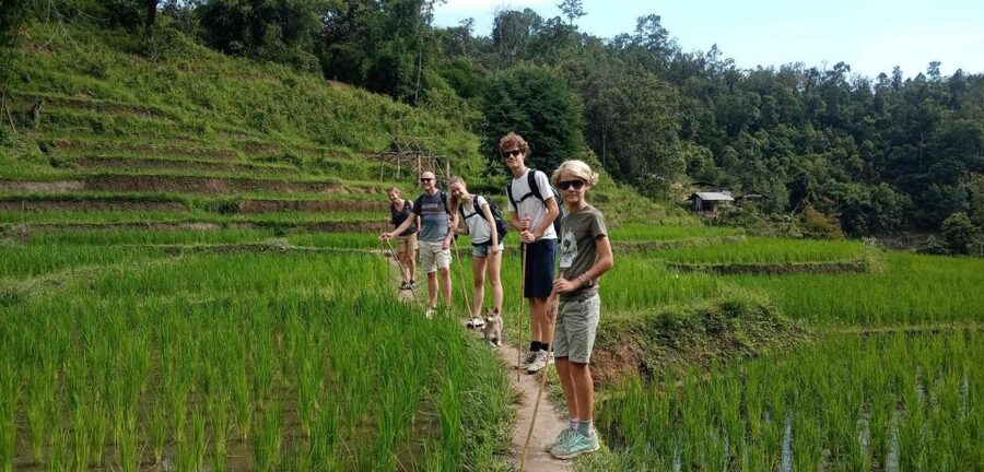 Chiang Mai: Elephant Sanctuary & Jungle Trek w/ Waterfall - Who should book this day?