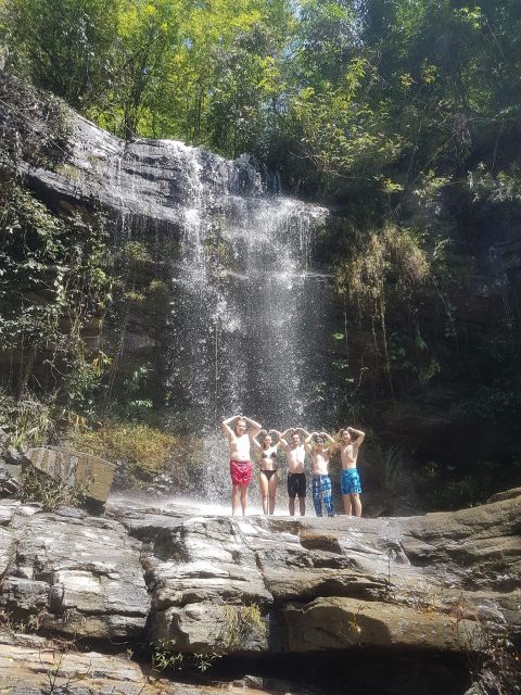 Chiang Mai: Elephant Sanctuary & Jungle Trek w/ Waterfall - Meeting rescued elephants with care