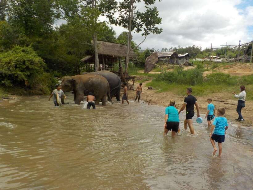 Chiang Mai: Elephant Sanctuary Local Hill Tribe Caretakers - Hiking to Mae Wang Waterfall
