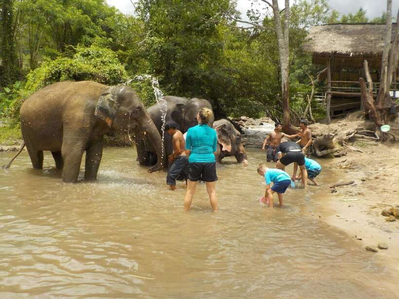 Chiang Mai: Elephant Sanctuary Local Hill Tribe Caretakers - Who should book this outing