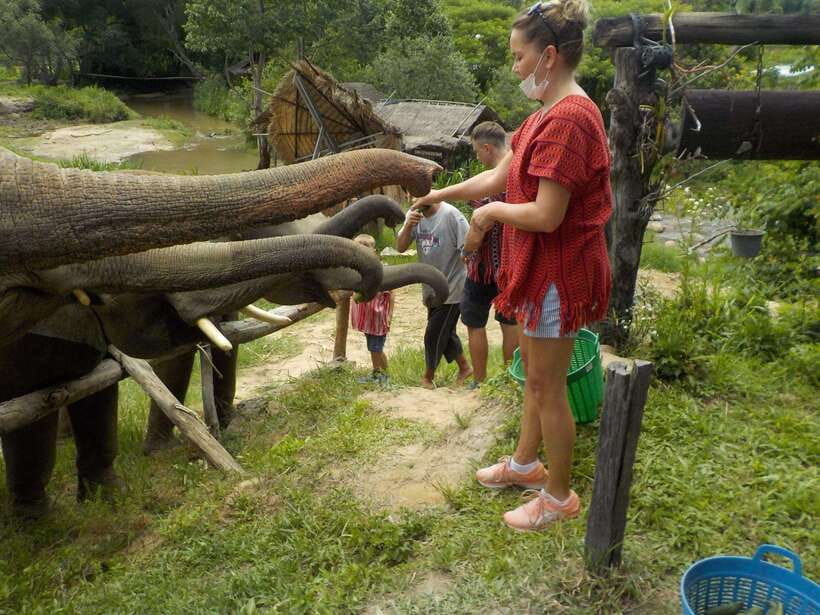 Chiang Mai: Elephant Sanctuary Local Hill Tribe Caretakers - My call: a worthwhile outing with one scheduling warning
