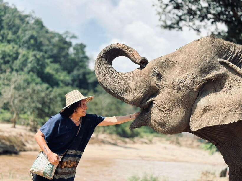 Chiang Mai: Elephant Sanctuary, Long Neck & Sticky Waterfall - A nine-hour day beyond Chiang Mai