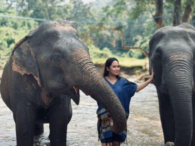 Elephant Sanctuary, Long Neck & Sticky Waterfall