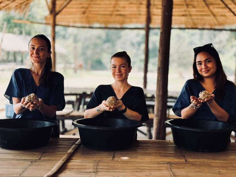 Chiang Mai: Elephant Sanctuary, Long Neck & Sticky Waterfall - Bathing elephants in the river