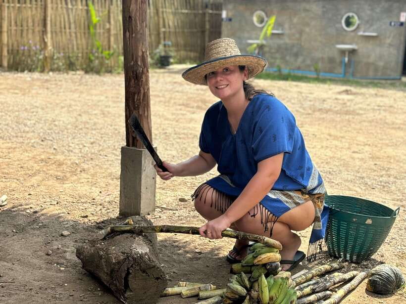 Chiang Mai: Elephant Sanctuary, Long Neck & Sticky Waterfall - Is $63 good value?