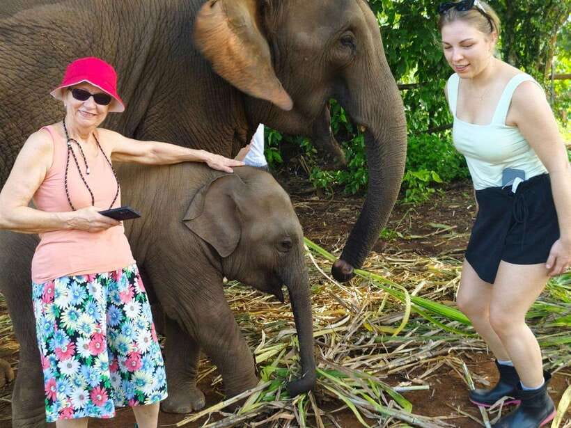 Chiang Mai: Elephant Sanctuary, Monk Trail & Doi Suthep Tour - Seeing Wat Phra That Doi Suthep above Chiang Mai