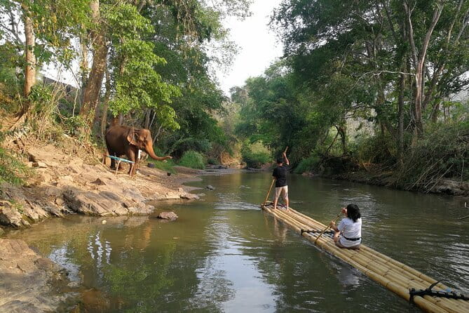 Chiang Mai Elephant Sanctuary Observation and Bamboo Rafting - Who should book this day