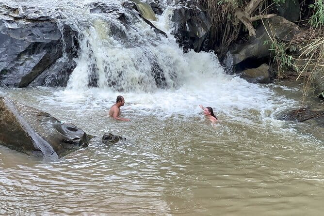Chiang Mai Elephant Sanctuary Observation and Bamboo Rafting - Herbal tea, waterfall water, and a slower midday break