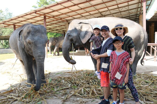 Chiang Mai Elephant Sanctuary Small Group Ethical Tour - What happens at Mae Taeng’s sanctuary