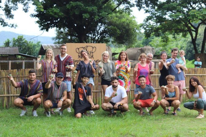 Chiang Mai Elephant Sanctuary Small Group Ethical Tour - What the $90 price really covers