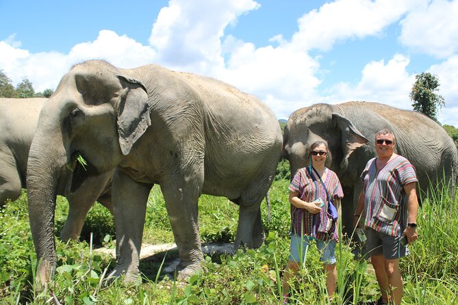 Chiang Mai Elephant Sanctuary Small Group Ethical Tour - A practical day in the outdoors