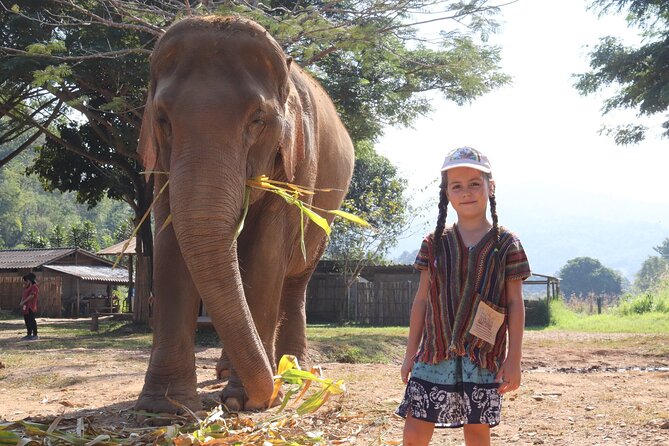 Chiang Mai Elephant Sanctuary Small Group Ethical Tour - Families, photographers, and ethical animal tourism