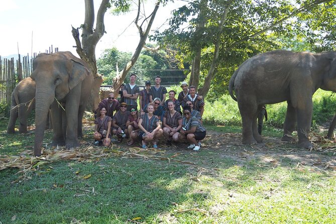 Chiang Mai Elephant Sanctuary Small Group Ethical Tour - What the morning visit from 6:30 am includes