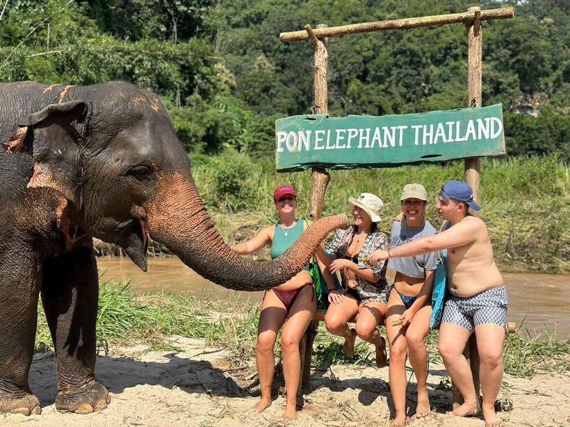 Chiang Mai: Elephant Sanctuary, Waterfall & Bamboo Rafting - Why this Chiang Mai day trip works