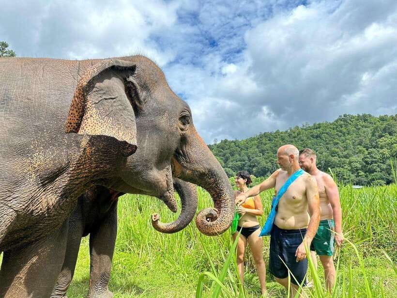 Chiang Mai: Elephant Sanctuary, Waterfall & Bamboo Rafting - Thai lunch and a useful mid-day pause