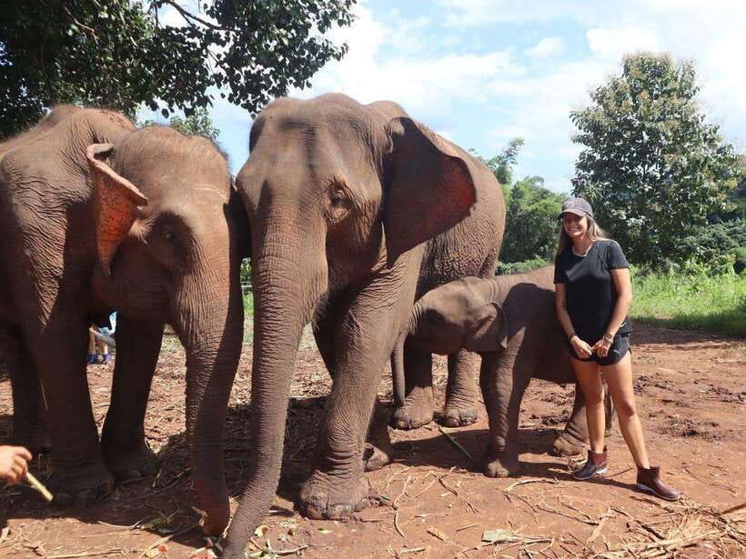 Chiang Mai: Elephant Sanctuary & Waterfall Group Tour - Key points to know before booking
