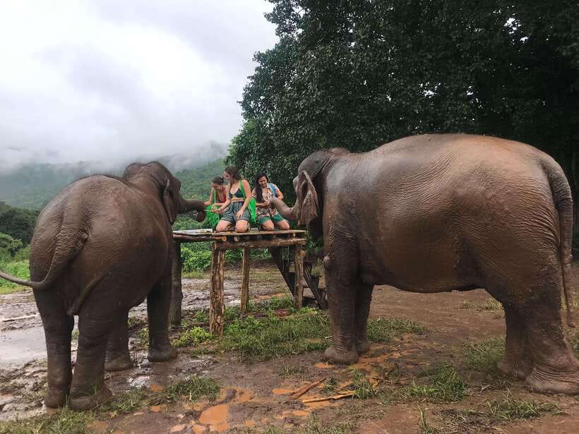 Chiang Mai: Elephant Sanctuary & Waterfall Group Tour - What to pack for a dry and comfortable day