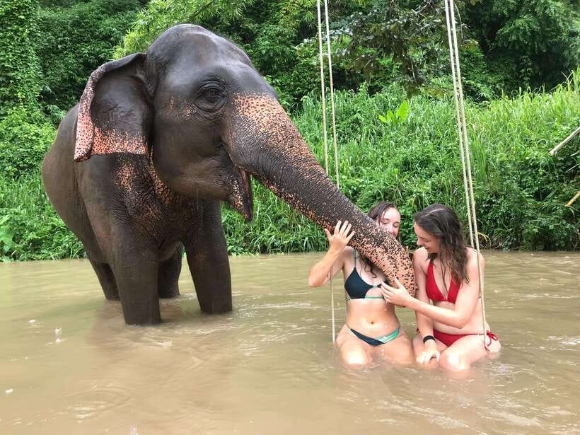 Chiang Mai: Elephant Sanctuary & Waterfall Group Tour - An 80-minute ride from Chiang Mai into Mae Wang