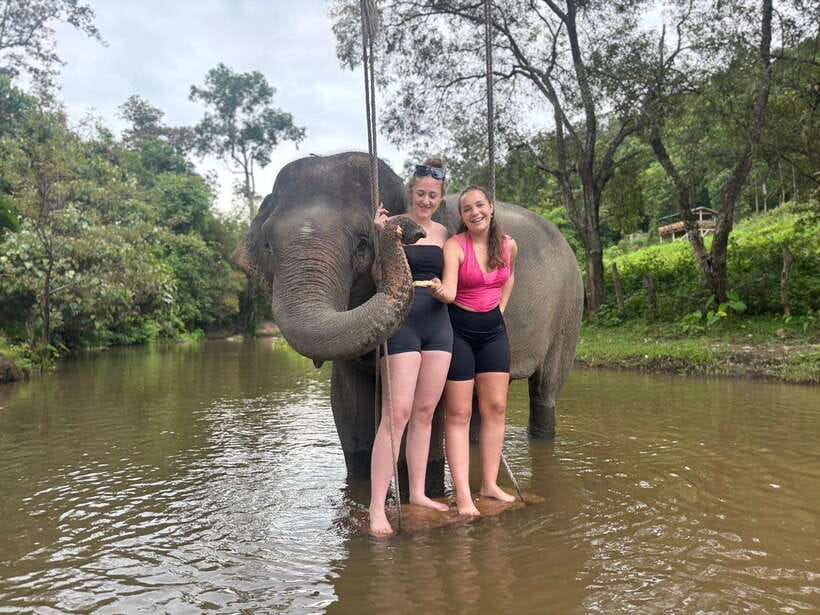 Chiang Mai: Elephant Sanctuary & Waterfall Group Tour - Feeding, touching, and walking with the elephants